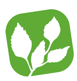 Abonnement - Membre Collectif Bronze