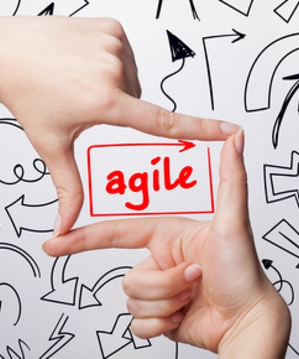 Retour sur une migration "Business Agile" | 15 jan. 2019