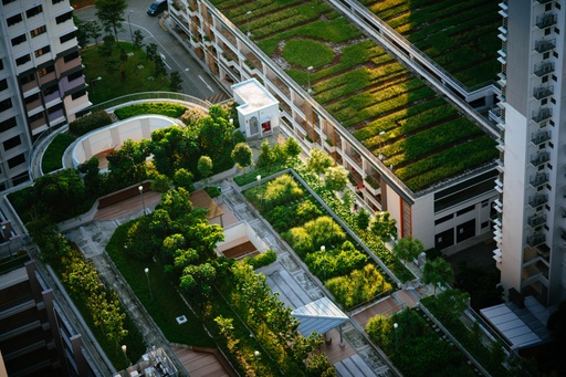 Comment intégrer l'agriculture urbaine en projet immobilier | 22 mar. 2022